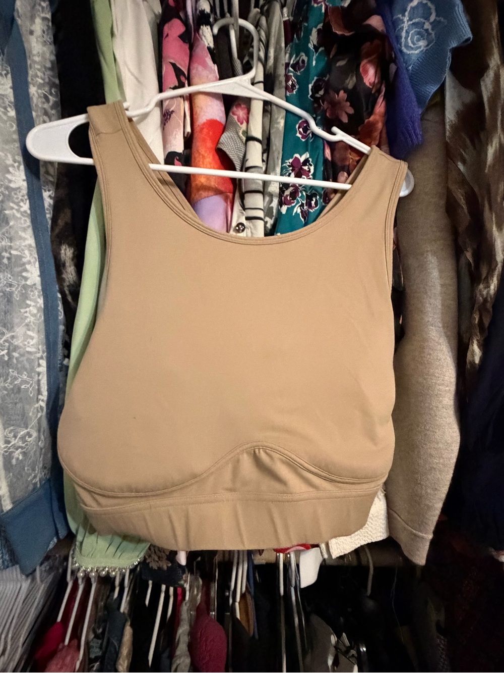 Fabletics sports bra 1X
